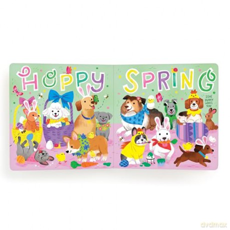 Bow-wow Bunny Board Book [KSIĄŻKA]