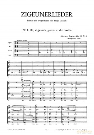Brahms: Zigeunerlieder [KSIĄŻKA]