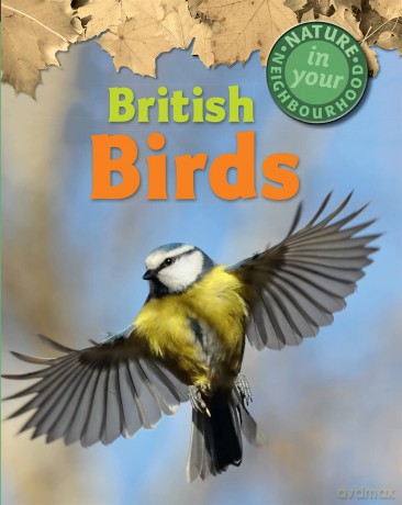 British Birds [KSIĄŻKA]