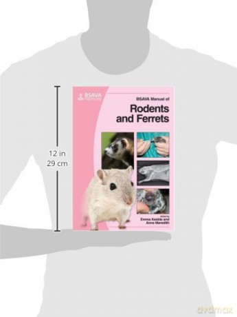 BSAVA Manual of Rodents and Ferrets [KSIĄŻKA]
