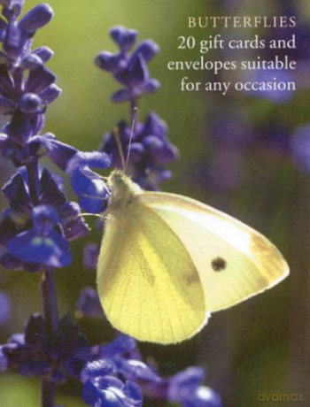 Butterfly Large Card Box [KSIĄŻKA]