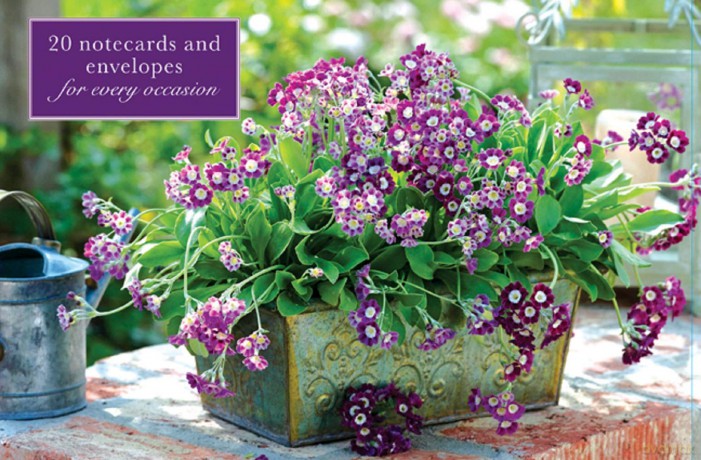 Card Box of 20 Notecards and Envelopes: Primula [KSIĄŻKA]