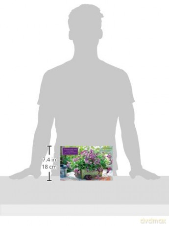 Card Box of 20 Notecards and Envelopes: Primula [KSIĄŻKA]