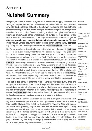 Cat on a Hot Tin Roof Text Guide: A-Level English Literature Revision Book | Includes Analysis, Key Quotes, Character Insights, and Sample Essays for Top Grades [KSIĄŻKA]