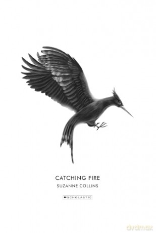 Catching Fire: the Deluxe Edition [KSIĄŻKA]