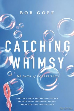 Catching Whimsy: 365 Days of Possibility [KSIĄŻKA]