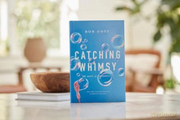 Catching Whimsy: 365 Days of Possibility [KSIĄŻKA]