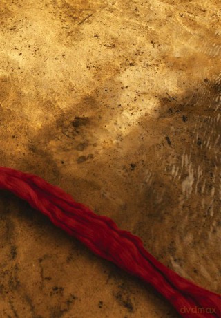 Cecilia Vicuna - Read Thread. The Story of the Red Thread [KSIĄŻKA]
