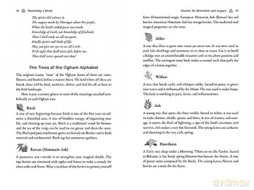 Celtic Druidry: Rituals, Techniques, and Magical Practices [KSIĄŻKA]