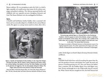 Celtic Druidry: Rituals, Techniques, and Magical Practices [KSIĄŻKA]