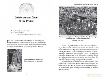 Celtic Druidry: Rituals, Techniques, and Magical Practices [KSIĄŻKA]