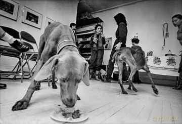 Chelsea Hotel: Portraits from New York's Bohemian Mecca [KSIĄŻKA]
