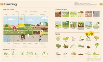 Children's Visual Dictionary: 9,000-Word Vocabulary Builder [KSIĄŻKA]