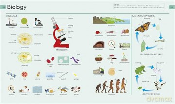 Children's Visual Dictionary: 9,000-Word Vocabulary Builder [KSIĄŻKA]