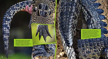 Chris Humfrey's Awesome Australian Animals: Incredible facts and stunning photos [KSIĄŻKA]
