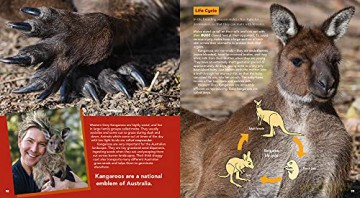 Chris Humfrey's Awesome Australian Animals: Incredible facts and stunning photos [KSIĄŻKA]