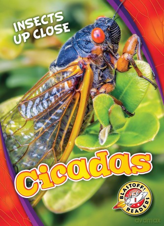 Cicadas [KSIĄŻKA]