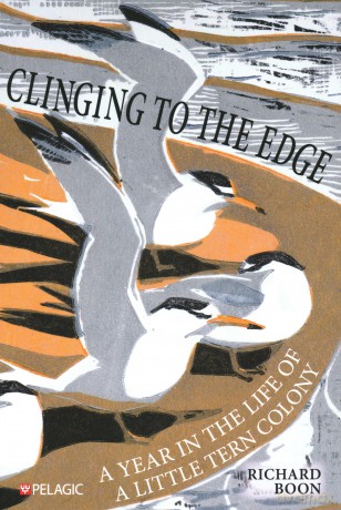 Clinging to the Edge: A Year in the Life of a Little Tern Colony [KSIĄŻKA]