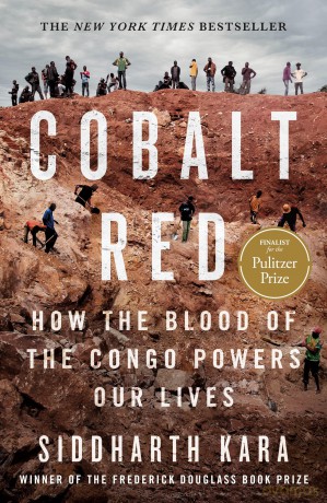 Cobalt Red: How the Blood of the Congo Powers Our Lives [KSIĄŻKA]