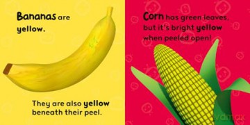 CoComelon Little Learners Pocket Library: 6 new mini board books about first experiences, featuring JJ and his friends - perfect for toddlers and young children! [KSIĄŻKA]