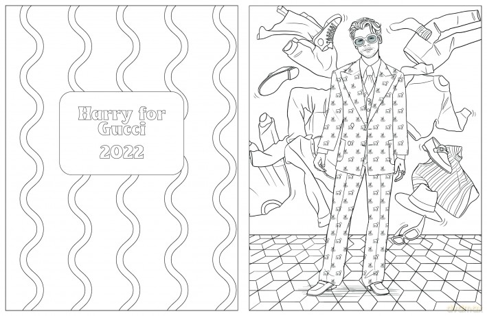 Colour In Harry: A Unofficial Harry Styles Colouring and Sticker Book [KSIĄŻKA]