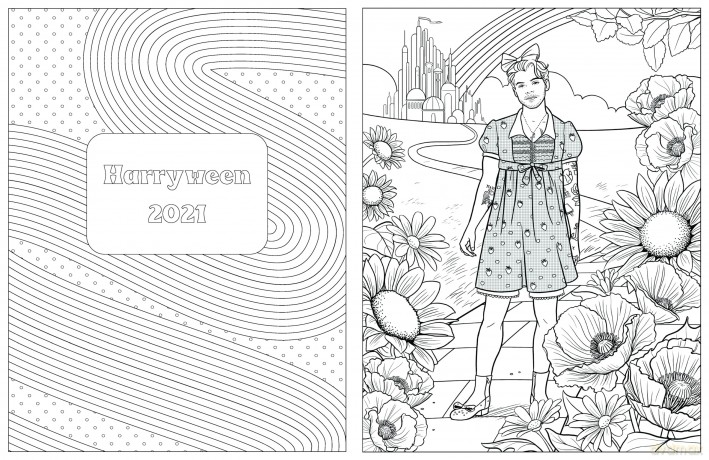 Colour In Harry: A Unofficial Harry Styles Colouring and Sticker Book [KSIĄŻKA]