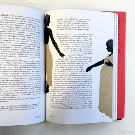 Conceiving Histories: Trying for Pregnancy Past and Present [KSIĄŻKA]
