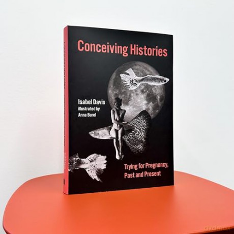 Conceiving Histories: Trying for Pregnancy Past and Present [KSIĄŻKA]