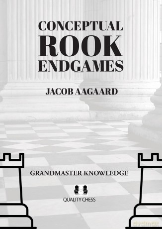Conceptual Rook Endgames [KSIĄŻKA]