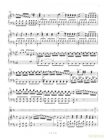 Concert D Alto [KSIĄŻKA]