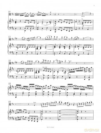 Concert D Alto [KSIĄŻKA]