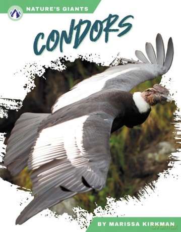 Condors [KSIĄŻKA]