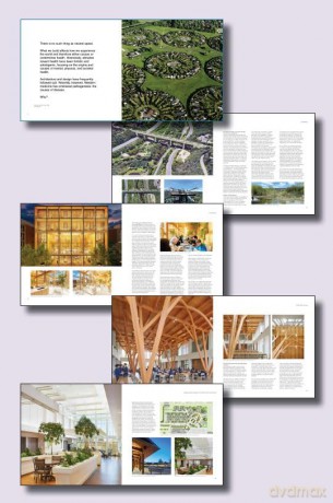 Constructing Health: How the Built Environment Enhances Your Mind's Health [KSIĄŻKA]