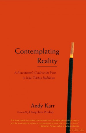 Contemplating Reality: A Practitioner's Guide to the View in Indo-Tibetan Buddhism [KSIĄŻKA]