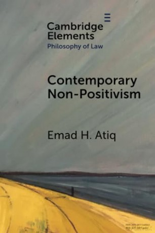 Contemporary Non-Positivism [KSIĄŻKA]