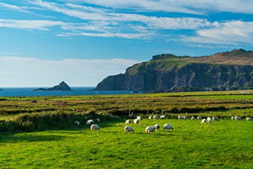 County Kerry Map | Ordnance Survey Ireland | Dingle | OSI Discovery Series 70 | Ireland | Walks | Hiking | Maps | Adventure [KSIĄŻKA]