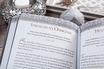 Courage to Conquer: 365 Devotions from Joshua, Judges, and Ruth [KSIĄŻKA]