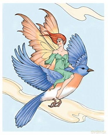 Creative Haven Enchanted Fairies Coloring Book [KSIĄŻKA]