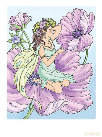 Creative Haven Enchanted Fairies Coloring Book [KSIĄŻKA]