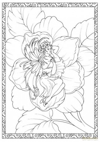 Creative Haven Enchanted Fairies Coloring Book [KSIĄŻKA]
