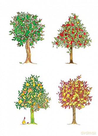 Creative Haven Whimsical Gardens Coloring Book [KSIĄŻKA]