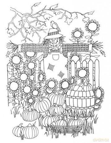 Creative Haven Whimsical Gardens Coloring Book [KSIĄŻKA]