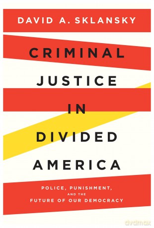 Criminal Justice in Divided America: Police, Punishment, and the Future of Our Democracy [KSIĄŻKA]
