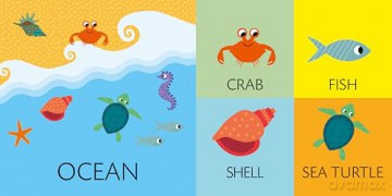 Cube Books: Toddlers Basics [KSIĄŻKA]
