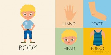 Cube Books: Toddlers Basics [KSIĄŻKA]