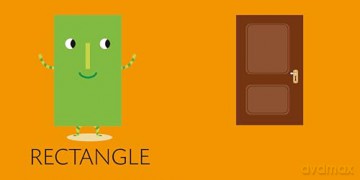 Cube Books: Toddlers Basics [KSIĄŻKA]