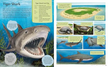 Curious Features of Extraordinary Creatures: Clean-Up Crew [KSIĄŻKA]