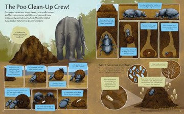 Curious Features of Extraordinary Creatures: Clean-Up Crew [KSIĄŻKA]