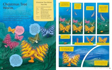 Curious Features of Extraordinary Creatures: Clean-Up Crew [KSIĄŻKA]