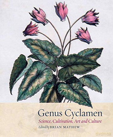 Cyclamen: In Art, Science and the Garden: Science, cultivation, art and culture [KSIĄŻKA]